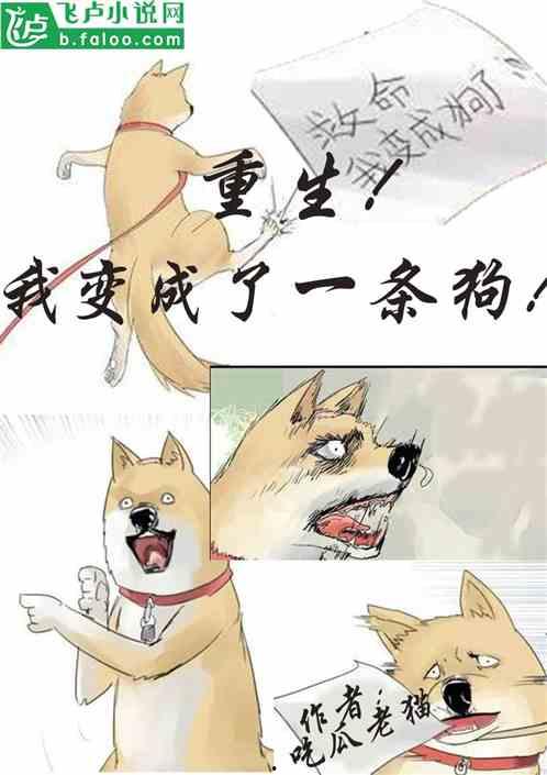 吃瓜精小说,吃瓜精的奇幻冒险之旅