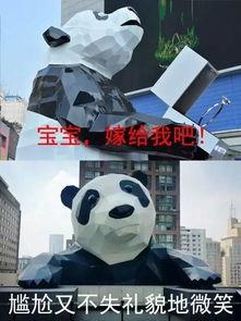 带你吃瓜熊猫求婚,甜蜜瞬间感动网友