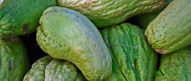 百吃不厌的瓜,探寻夏日消暑美食的秘密