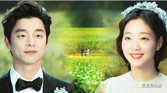 戏鬼吃瓜,揭秘娱乐圈背后的秘密与八卦