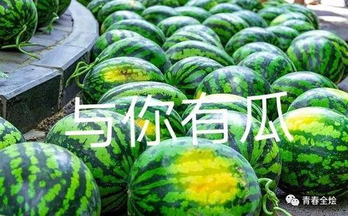 各高校吃瓜,校园吃瓜大揭秘，一网打尽校园热点事件