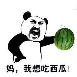 吃瓜的时刻,揭秘娱乐圈幕后故事