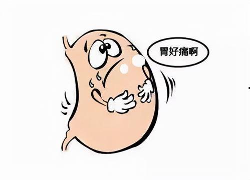 胃疼ing 吃瓜,揭秘胃痛背后的真相与趣味生活