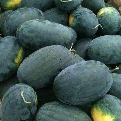 游京搞笑吃瓜,揭秘娱乐圈那些不为人知的幕后趣事