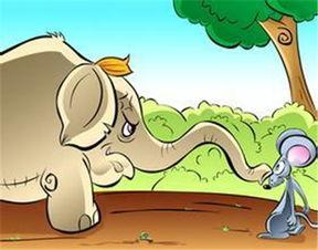 小老鼠偷瓜吃图片,一场趣味盎然的夏日冒险