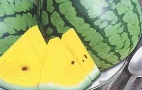 吃瓜是什么标签图片,网络热词背后的社会现象