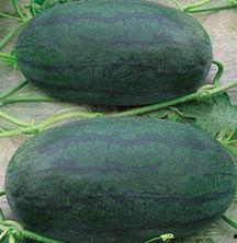 山东日照吃瓜视频后续,真相揭晓，事件发酵背后的故事