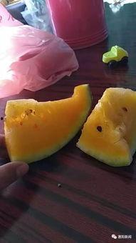 吃瓜被扫,揭秘扫瓜背后的科技力量