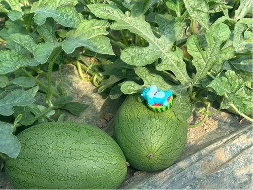 吃瓜新瓜,揭秘娱乐圈最新热点事件