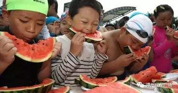 暴走吃瓜在线观看,揭秘娱乐圈幕后真相，带你领略网络直播魅力