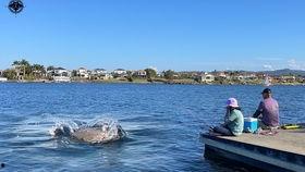秋名山吃瓜群,揭秘网络社交圈的狂欢盛宴
