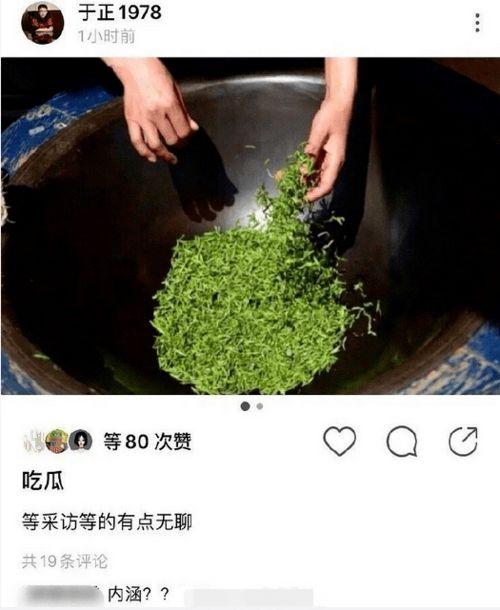 吃瓜绿茶影帝