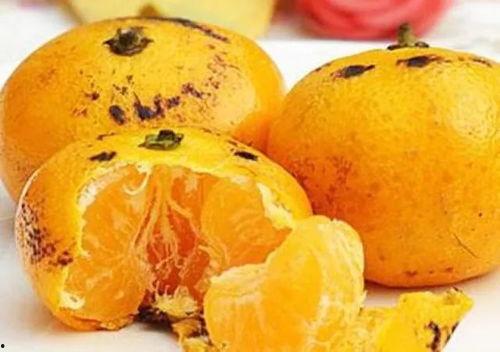 吃瓜少女小橘,吃瓜少女的甜蜜瓜界探险记