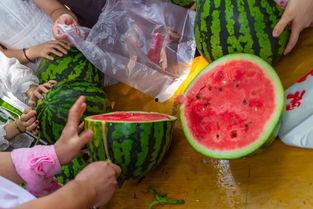 天津吃瓜视频,揭秘津城街头美食风云录
