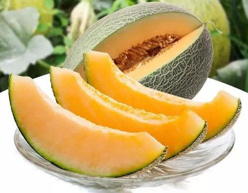 瓜州在哪吃瓜,一场与瓜的邂逅之旅