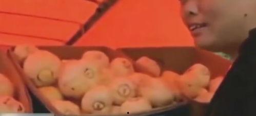 街头丘比特吃瓜,街头丘比特的甜蜜吃瓜日常