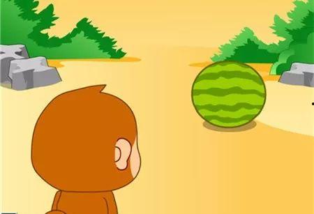 小猴子吃小瓜,趣味盎然的童年趣事