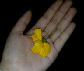 花式吃瓜素材视频,短视频里的趣味食趣