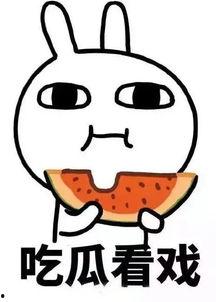 吃瓜速度哪个牌子最快,揭秘最快生成瓜子的品牌！”