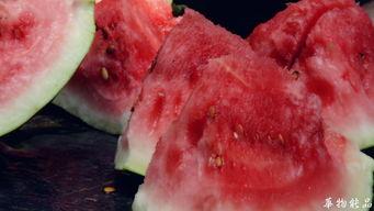 三五老友吃瓜,共享瓜界盛宴